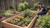 Build a garden raised bed planter diy
